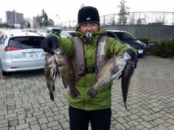 鯛多ニック 釣果