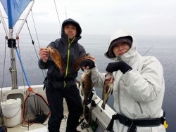 鯛多ニック 釣果