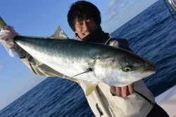 ジギング船 BLUEWATER 釣果