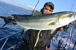 ジギング船 BLUEWATER 釣果