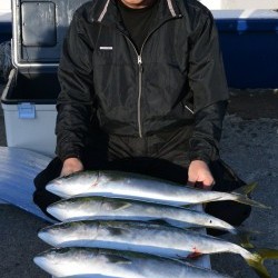 ジギング船 BLUEWATER 釣果