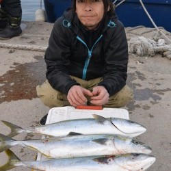 ジギング船 BLUEWATER 釣果