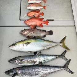 オーシャンキッズ 釣果