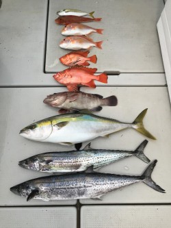 オーシャンキッズ 釣果