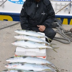 ジギング船 BLUEWATER 釣果