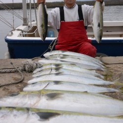 ジギング船 BLUEWATER 釣果