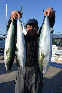 ジギング船 BLUEWATER 釣果