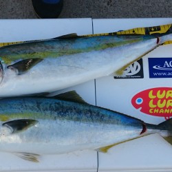 アルバトロス初乗船