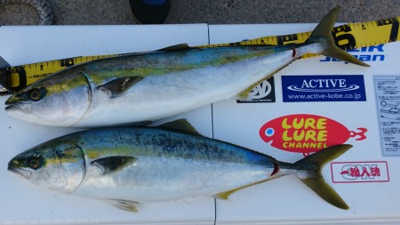 アルバトロス初乗船