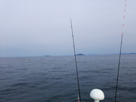 ヒラメとヒラマサ