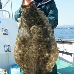 第三隆栄丸 釣果