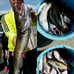 第三隆栄丸 釣果