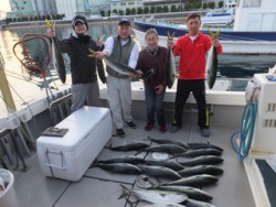 Hit Rush(ヒット ラッシュ） 釣果…