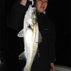 Marine T Design　マリンティーデザイン 釣果