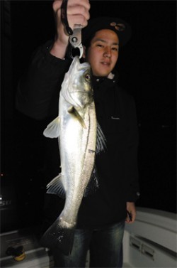 Marine T Design　マリンティーデザイン 釣果