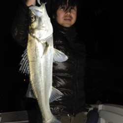 Marine T Design　マリンティーデザイン 釣果