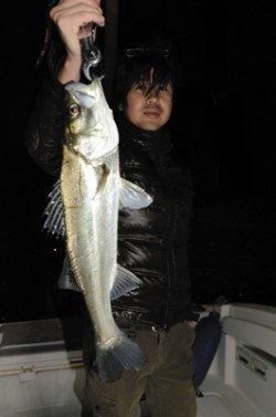 Marine T Design　マリンティーデザイン 釣果