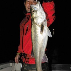 Marine T Design　マリンティーデザイン 釣果