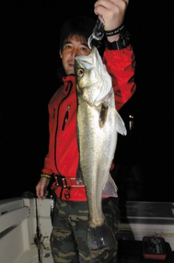 Marine T Design　マリンティ…