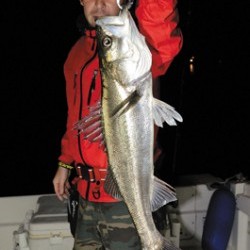 Marine T Design　マリンティーデザイン 釣果