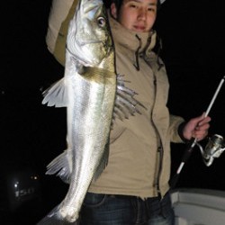 Marine T Design　マリンティーデザイン 釣果