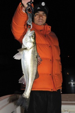 Marine T Design　マリンティーデザイン 釣果