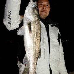 Marine T Design マリンティーデザイン 釣果