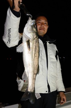 Marine T Design マリンティーデザイン 釣果