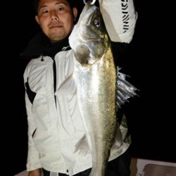 Marine T Design マリンティーデザイン 釣果