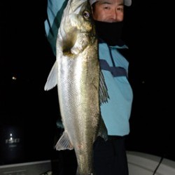 Marine T Design　マリンティーデザイン 釣果