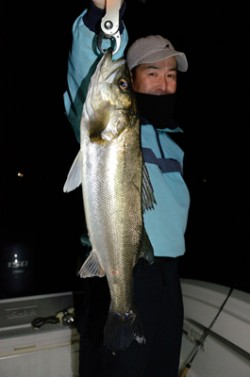 Marine T Design　マリンティ…