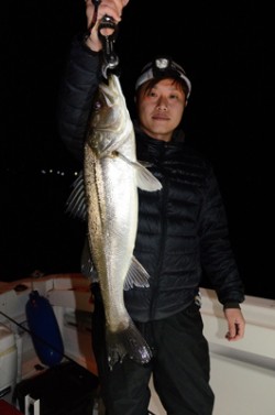 Marine T Design　マリンティ…