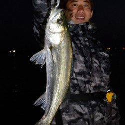 Marine T Design　マリンティーデザイン 釣果