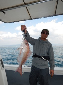 sea boss　シーボス 釣果