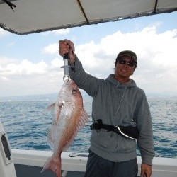 sea boss　シーボス 釣果