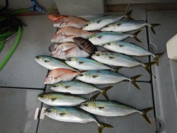 sea boss　シーボス 釣果