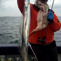 ゲームフィッシング バレントン 釣果