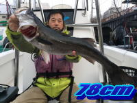 オーシャンマスター 釣果