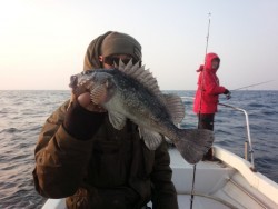 リトルワン 釣果