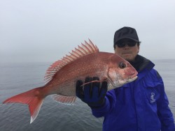 ゲームフィッシング バレントン 釣果