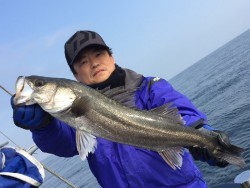 ゲームフィッシング バレントン 釣果