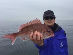 ゲームフィッシング バレントン 釣果