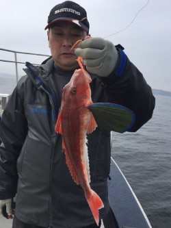 ゲームフィッシング バレントン 釣果