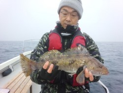 MATSUSHIMA SEANET 釣果