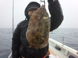 MATSUSHIMA SEANET 釣果