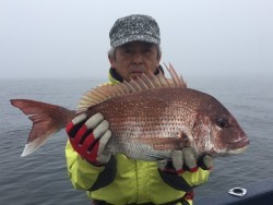 ゲームフィッシング バレントン 釣果