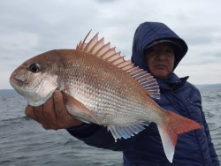 ゲームフィッシング バレントン 釣果