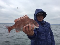 ゲームフィッシング バレントン 釣果