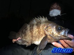 オーシャンマスター 釣果