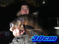 オーシャンマスター 釣果